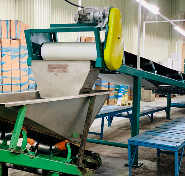 Eco-Cleaning Plant